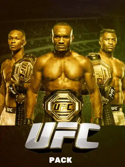 UFC mixed martial arts